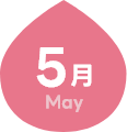 5月