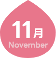 11月