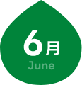 6月