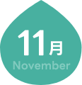 11月